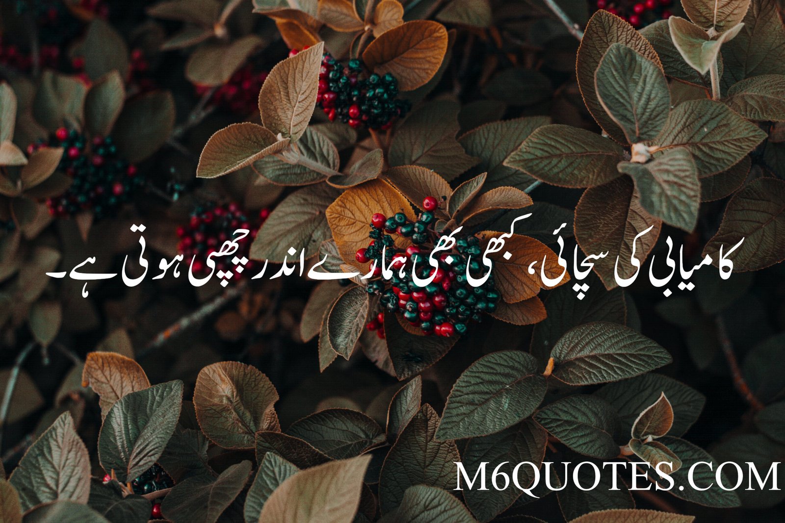 Urdu Quotes