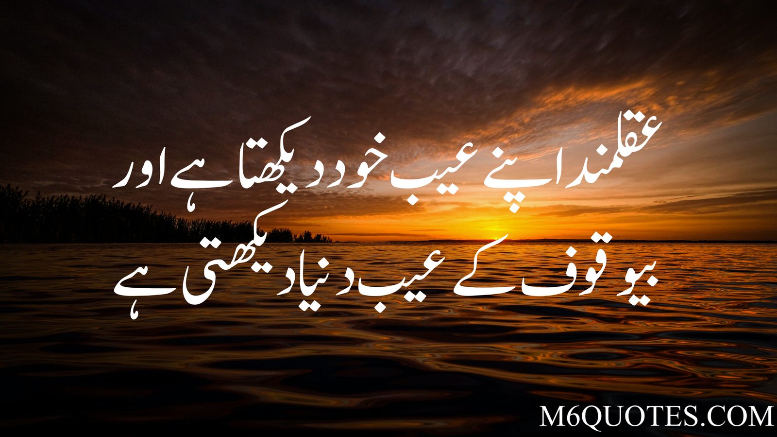 Best Urdu Quotes