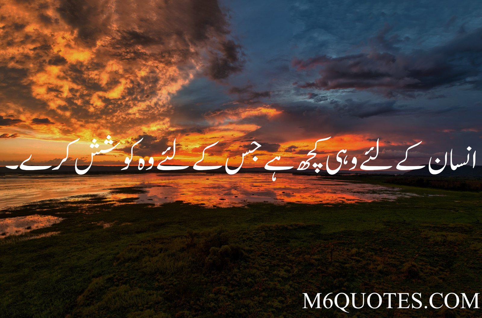 Best Urdu Quotes