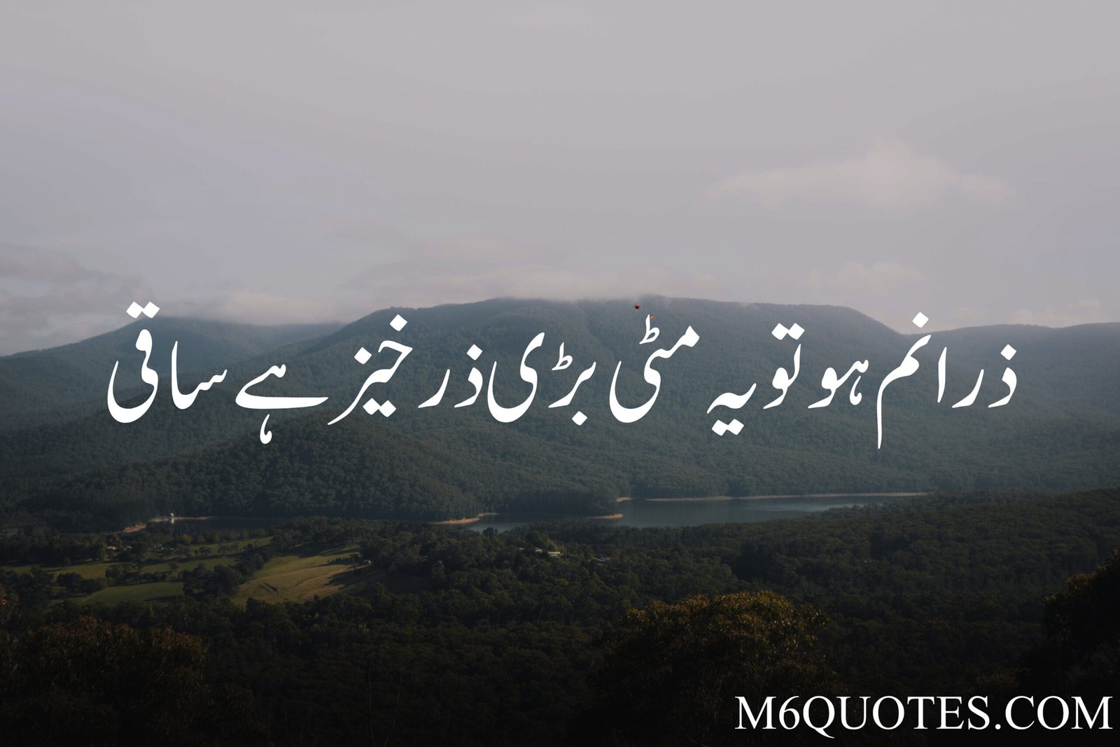 Best Urdu Quotes