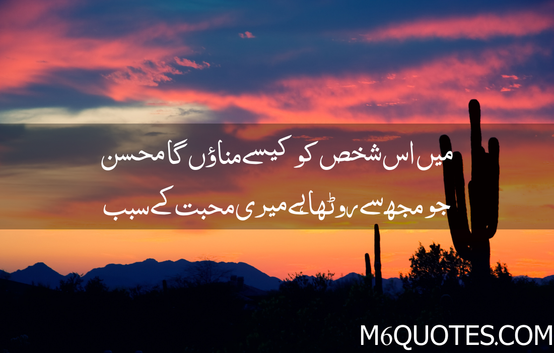 Urdu Quotes About Life