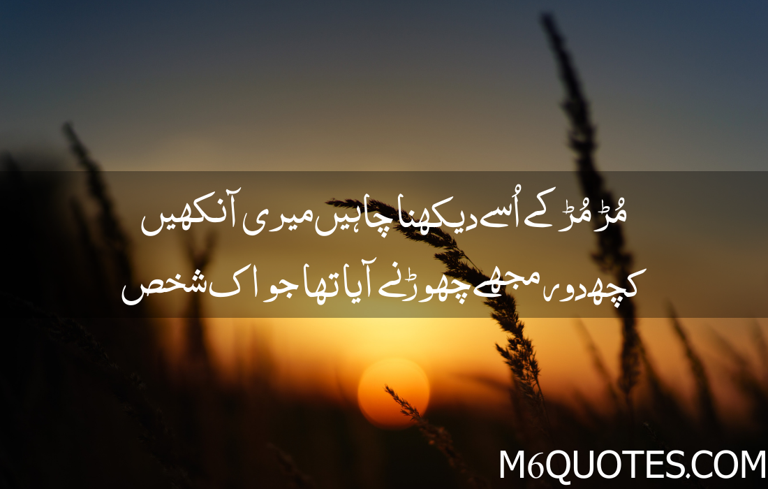 Urdu Quotes About Life